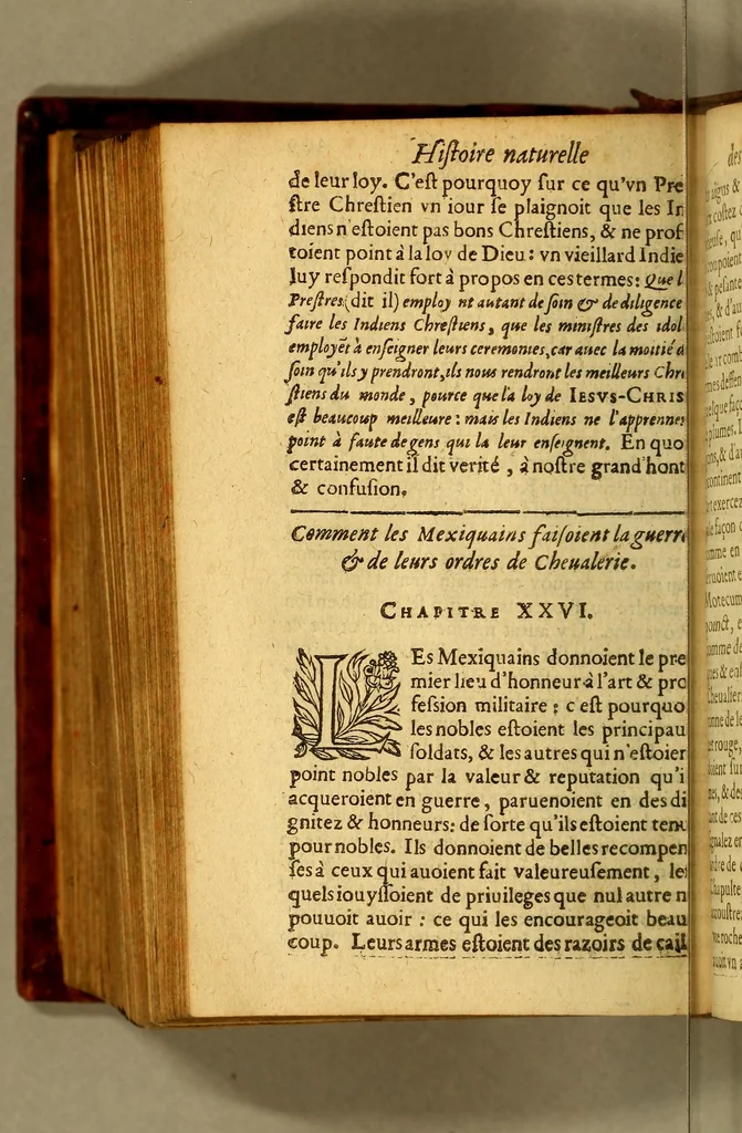 An illustration from Histoire naturelle et morale des Indes, tant Orientales, qu'Occidentales. : où il est traicté des choses remarquables du ciel, des elemens ... qui sont propres de ce pays, : ensemble des murs, ceremonies ... des mesmes Indiens., 1617, leaf 890