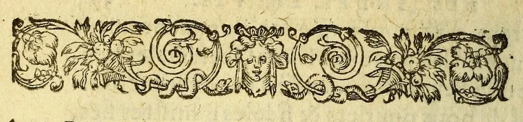 An illustration from Histoire naturelle et moralle des Indes, tant Orientalles qu'Occidentalles. Où il est traicté des choses remarquables du ciel, des elemens, metaux ... qui sont propres de ce païs. : Ensemble des moeurs, ceremonies ... & guerres des mesmes Indiens., 1598, leaf 770
