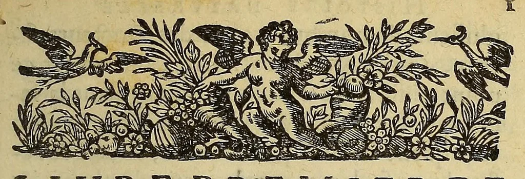 An illustration from Histoire naturelle et moralle des Indes, tant Orientalles qu'Occidentalles : où, il est traicté des choses remarquables du ciel, des elemens ... qui sont propres de ce pays. : ensemble des mœurs, ceremonies ... des mesmes Indiens., 1600, leaf 23