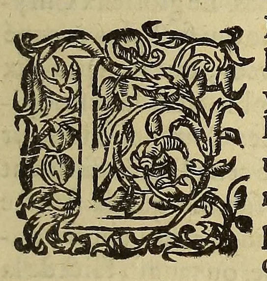 An illustration from Histoire naturelle et moralle des Indes, tant Orientalles qu'Occidentalles : où, il est traicté des choses remarquables du ciel, des elemens ... qui sont propres de ce pays. : ensemble des mœurs, ceremonies ... des mesmes Indiens., 1600, leaf 23