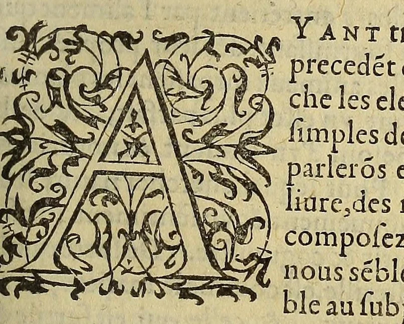 An illustration from Histoire naturelle et moralle des Indes, tant Orientalles qu'Occidentalles : où, il est traicté des choses remarquables du ciel, des elemens ... qui sont propres de ce pays. : ensemble des mœurs, ceremonies ... des mesmes Indiens., 1600, leaf 277