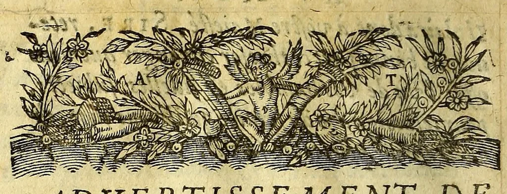 An illustration from Histoire naturelle et morale des Indes, tant Orientales, qu'Occidentales; : où il est traicté des choses remarquables du ciel, des elemens ... qui sont propres de ce pays; : ensemble des mœurs, ceremonies ... des mesmes Indiens., 1616, leaf 16