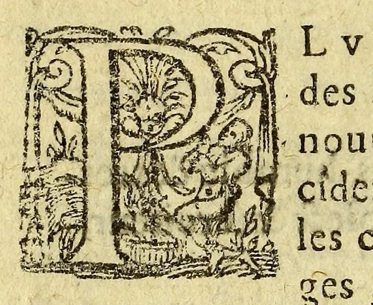 An illustration from Histoire naturelle et moralle des Indes, tant Orientalles qu'Occidentales. : où il est traitté des choses remarquables du ciel des elemens ... qui sont propres de ce païs. : ensemble des mœurs, ceremonies ... des mesmes Indiens., 1606, leaf 14