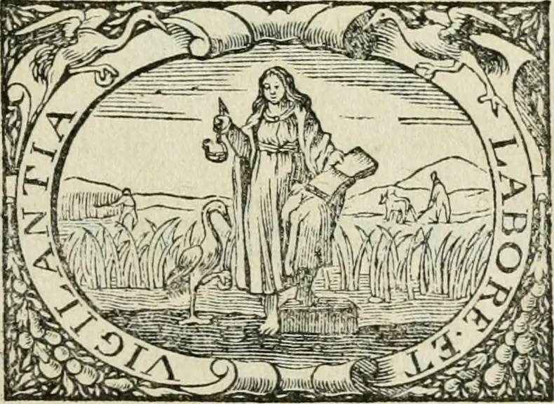 An illustration from Histoire naturelle et morale des iles Antilles de l'Amerique : enrichie de plusieurs belles figures des raretez les plus considerables qui y sont d'écrites : avec un vocabulaire caraibe, 1658, leaf 10