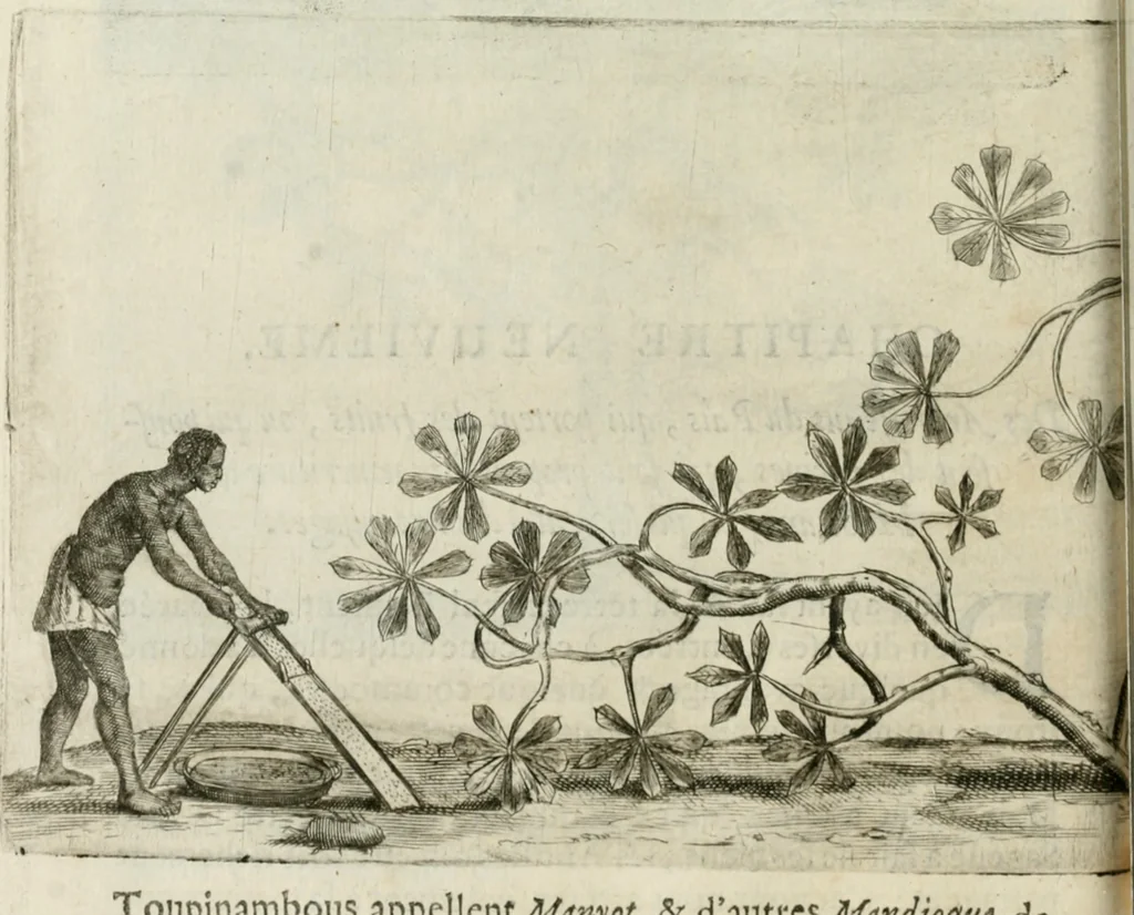 An illustration from Histoire naturelle et morale des iles Antilles de l'Amerique : enrichie de plusieurs belles figures des raretez les plus considerables qui y sont d'écrites : avec un vocabulaire caraibe, 1658, leaf 111