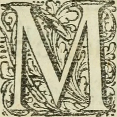 An illustration from Histoire naturelle et morale des iles Antilles de l'Amerique : enrichie de plusieurs belles figures des raretez les plus considerables qui y sont d'écrites : avec un vocabulaire caraibe, 1658, leaf 12