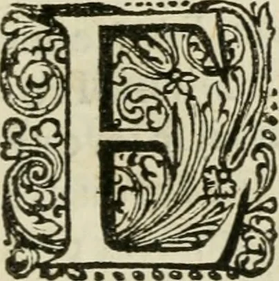 An illustration from Histoire naturelle et morale des iles Antilles de l'Amerique : enrichie de plusieurs belles figures des raretez les plus considerables qui y sont d'écrites : avec un vocabulaire caraibe, 1658, leaf 24