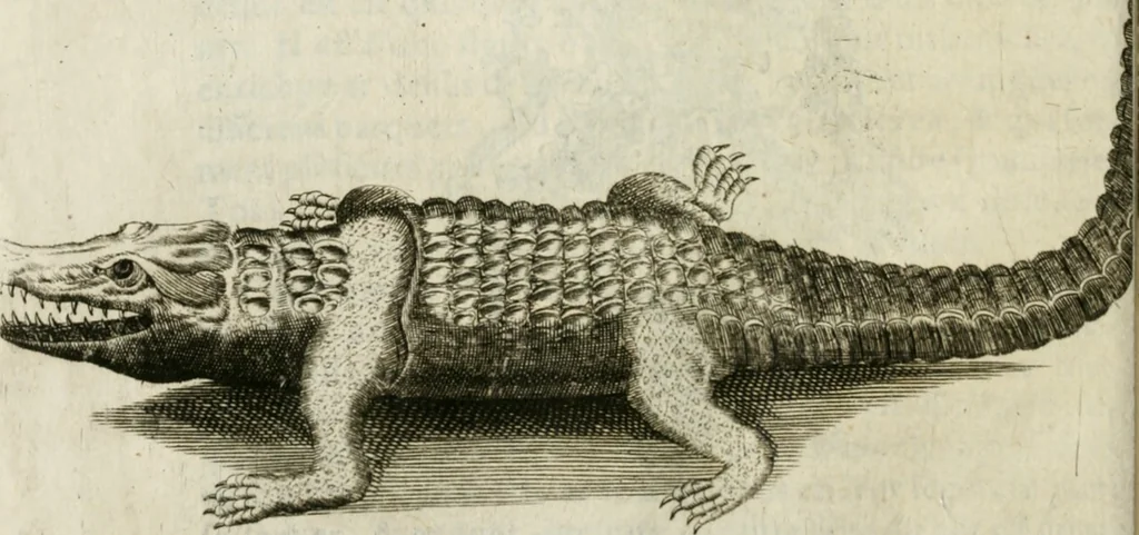 An illustration from Histoire naturelle et morale des iles Antilles de l'Amerique : enrichie de plusieurs belles figures des raretez les plus considerables qui y sont d'écrites : avec un vocabulaire caraibe, 1658, leaf 259