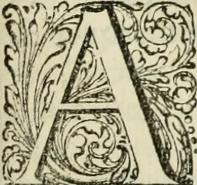 An illustration from Histoire naturelle et morale des iles Antilles de l'Amerique : enrichie de plusieurs belles figures des raretez les plus considerables qui y sont d'écrites : avec un vocabulaire caraibe, 1658, leaf 288