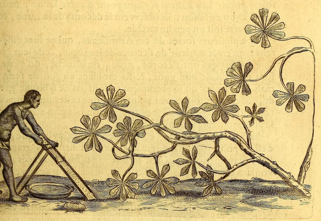 An illustration from Histoire naturelle et morale des iles Antilles de l'Amerique. : Enrichie d'un grand nombre de belles figures en taille douce, des places & des raretez les plus considerables, qui y sont décrites. : Avec un vocabulaire Caraïbe, 1665, leaf 151