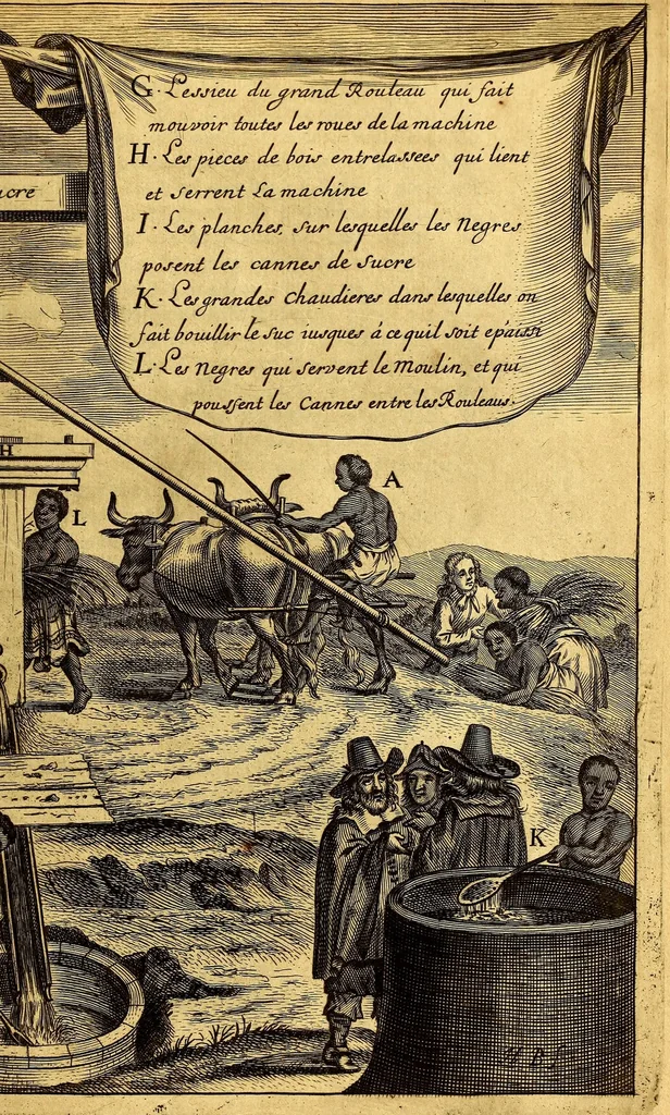 An illustration from Histoire naturelle et morale des iles Antilles de l'Amerique. : Enrichie d'un grand nombre de belles figures en taille douce, des places & des raretez les plus considerables, qui y sont décrites. : Avec un vocabulaire Caraïbe, 1665, leaf 381