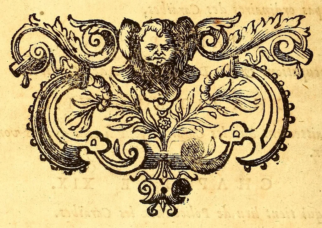 An illustration from Histoire naturelle et morale des iles Antilles de l'Amerique. : Enrichie d'un grand nombre de belles figures en taille douce, des places & des raretez les plus considerables, qui y sont décrites. : Avec un vocabulaire Caraïbe, 1665, leaf 650