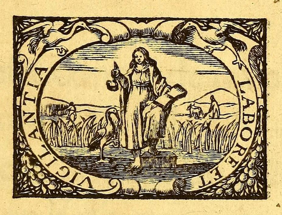 An illustration from Histoire naturelle et morale des iles Antilles de l'Amerique. : Enrichie d'un grand nombre de belles figures en taille douce, des places & des raretez les plus considerables, qui y sont décrites. : Avec un vocabulaire Caraïbe, 1665, leaf 9