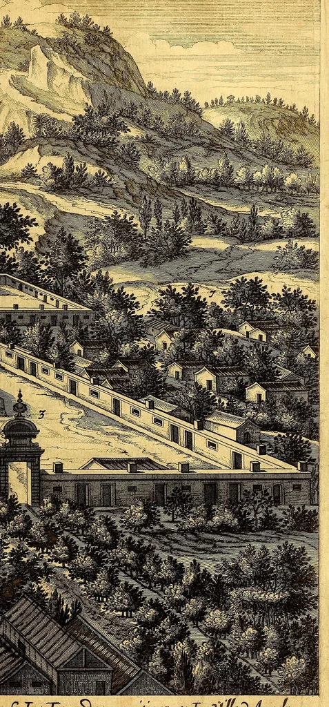 An illustration from Histoire naturelle et morale des iles Antilles de l'Amerique. : Enrichie d'un grand nombre de belles figures en taille douce, des places & des raretez les plus considerables, qui y sont décrites. : Avec un vocabulaire Caraïbe, 1665, leaf 97