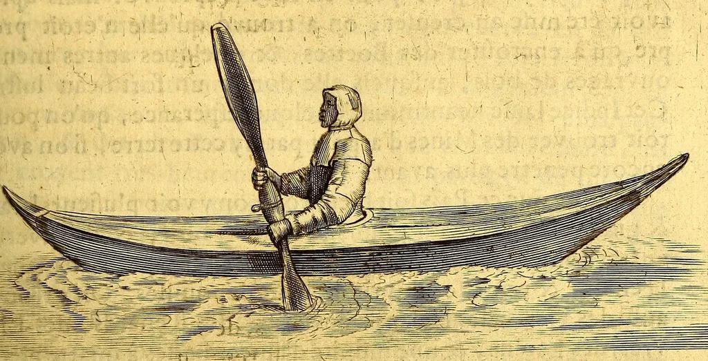 An illustration from Histoire naturelle et morale des iles Antilles de l'Amerique, : enrichie d'un grand nombre de belles figures en taille douce, qui representent au naturel les places, & les raretez les plus considerables qui y sont décrites. : Avec un vocabulaire caraïbe, 1681, leaf 251