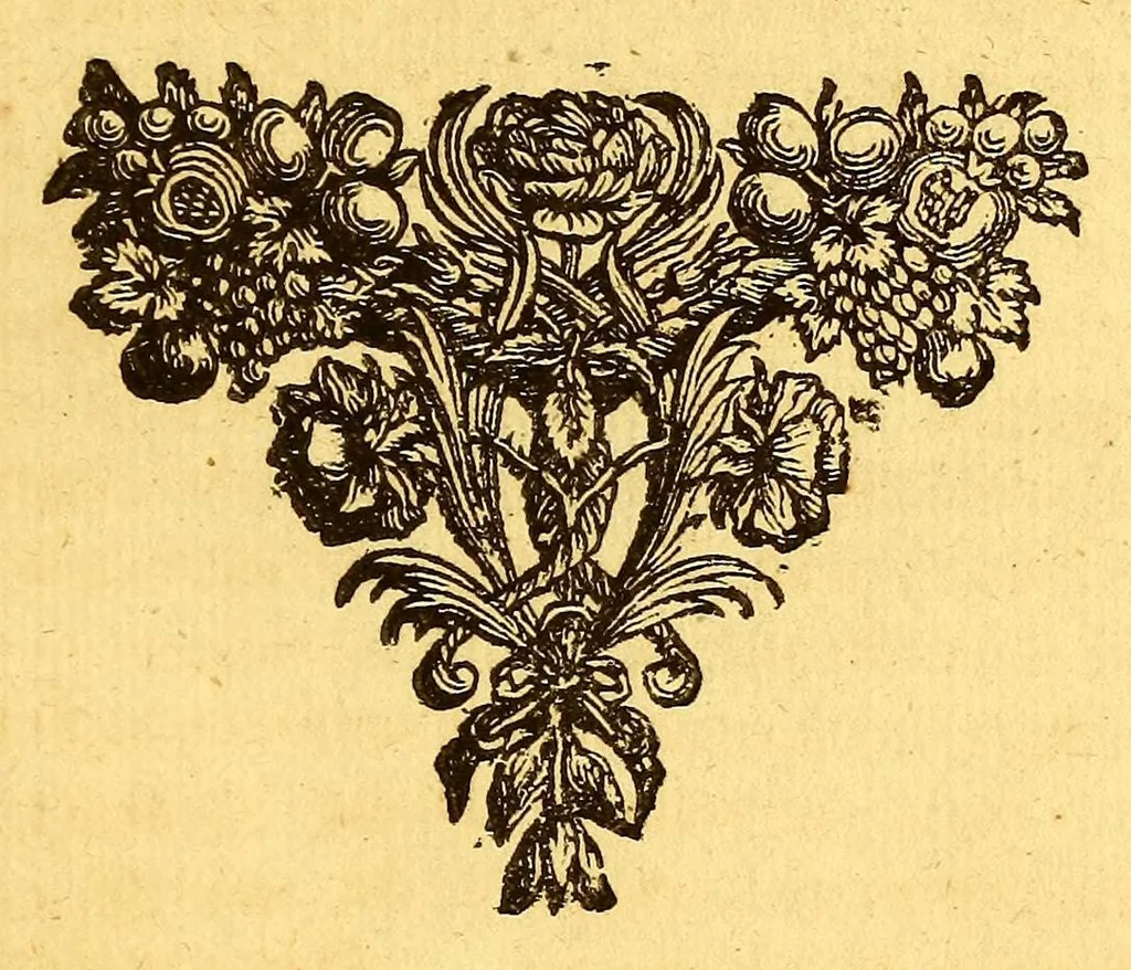 An illustration from Histoire naturelle et morale des iles Antilles de l'Amerique, : enrichie d'un grand nombre de belles figures en taille douce, qui representent au naturel les places, & les raretez les plus considerables qui y sont décrites. : Avec un vocabulaire caraïbe, 1681, leaf 685