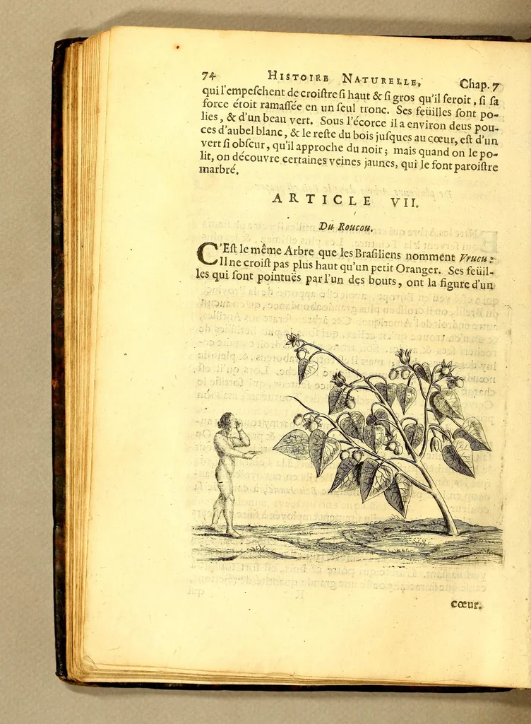 An illustration from Histoire naturelle et morale des iles Antilles de l'Amerique. : Enrichie de plusieurs belles figures des raretez les plus considerables qui y sont d'écrites. : Avec vn vocabulaire Caraïbe, 1658, leaf 94