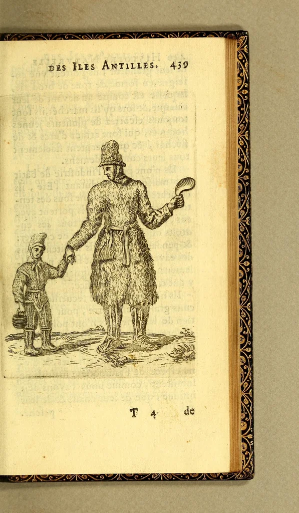 An illustration from Histoire naturelle des iles Antilles de l'Amerique:, 1667, leaf 507