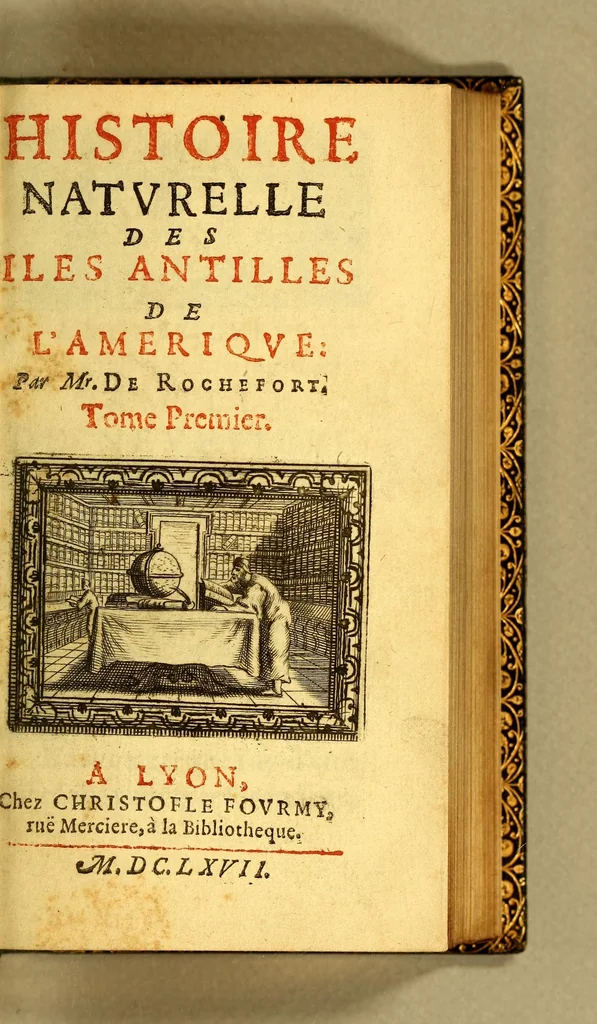 An illustration from Histoire naturelle des iles Antilles de l'Amerique:, 1667, leaf 9