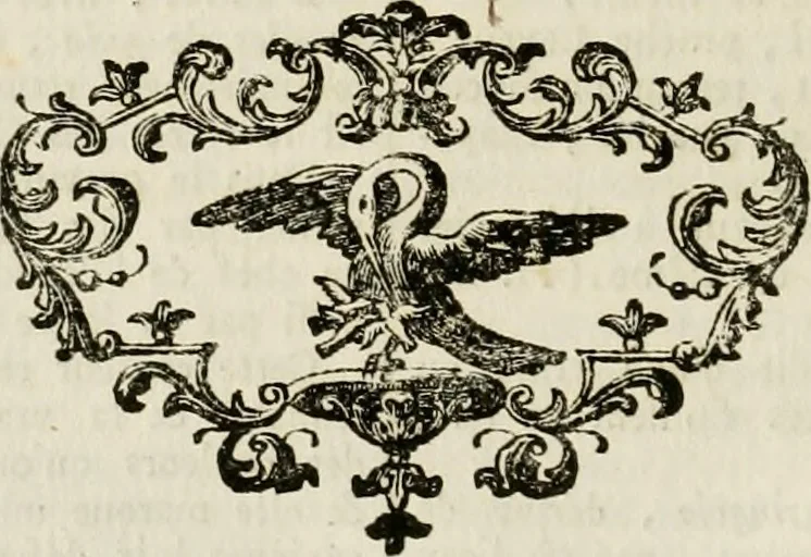 An illustration from Histoire, 1784, leaf 101