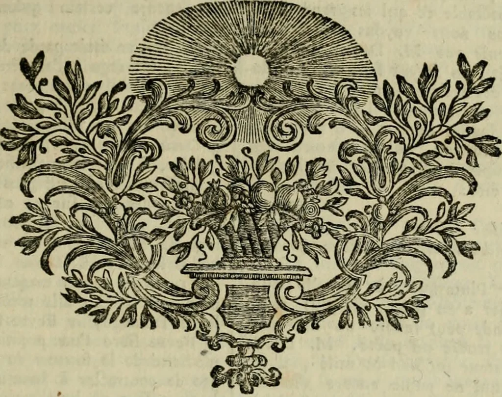 An illustration from Histoire, 1784, leaf 220
