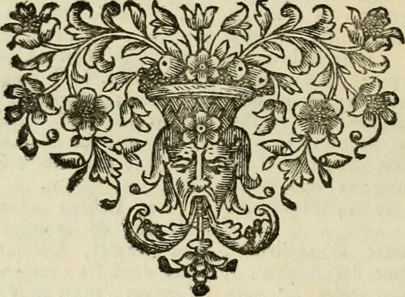 An illustration from Histoire, 1784, leaf 673