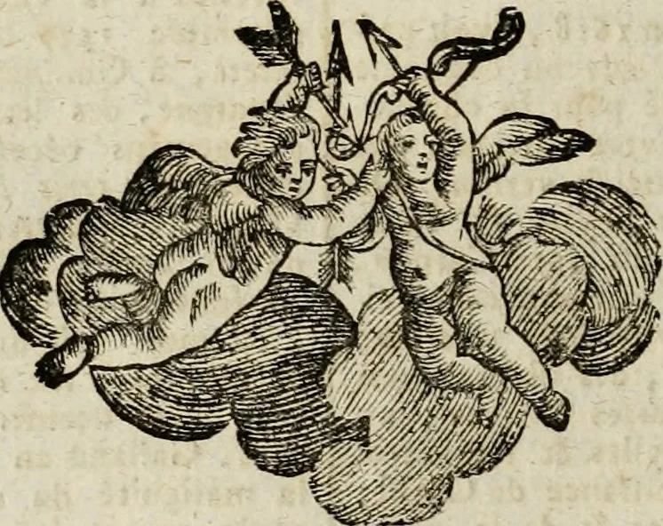 An illustration from Histoire, 1784, leaf 599