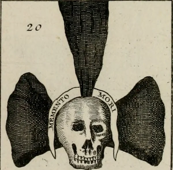 An illustration from Histoire, 1784, leaf 756