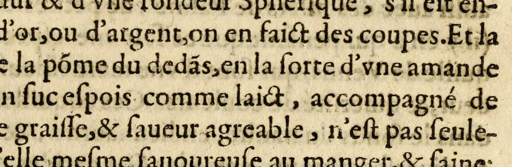 An illustration from Histoires des Indes,, 1604, leaf 401