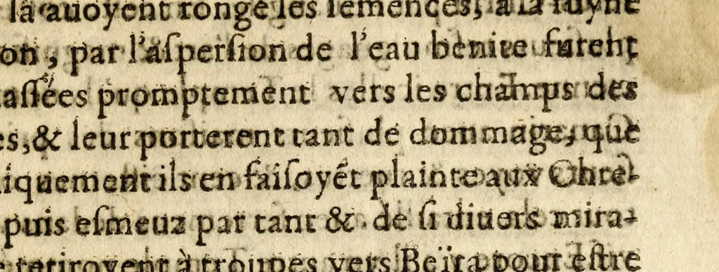 An illustration from Histoires des Indes,, 1604, leaf 883