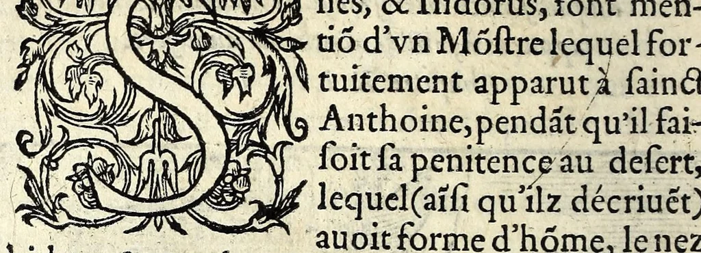 An illustration from Histoires prodigieuses extraictes de plusieurs fameux autheurs, grecz & latins, sacrez & prophanes, 1561, leaf 116