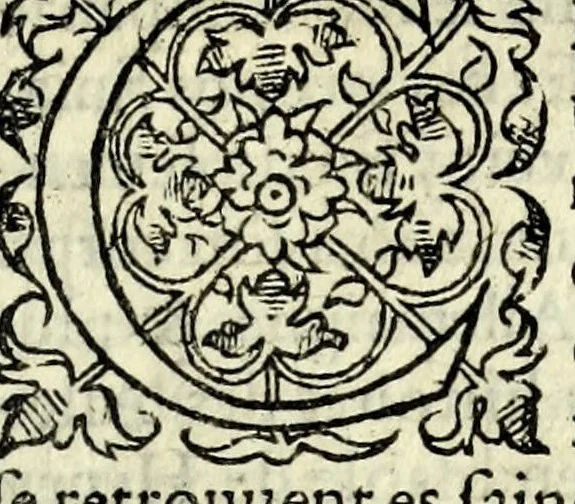 An illustration from Histoires prodigieuses extraictes de plusieurs fameux autheurs, grecz & latins, sacrez & prophanes, 1561, leaf 137