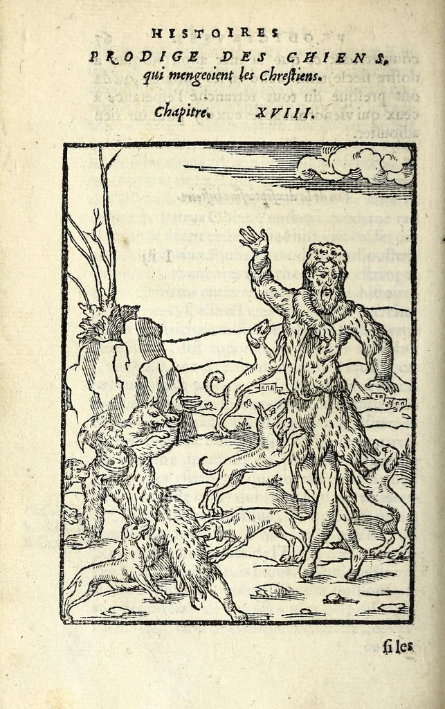 An illustration from Histoires prodigieuses extraictes de plusieurs fameux autheurs, grecz & latins, sacrez & prophanes, 1561, leaf 162
