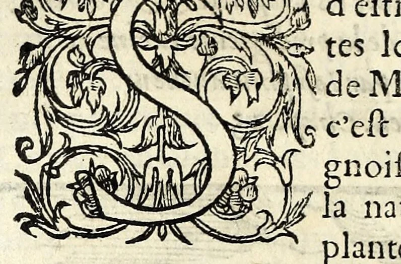An illustration from Histoires prodigieuses extraictes de plusieurs fameux autheurs, grecz & latins, sacrez & prophanes, 1561, leaf 204