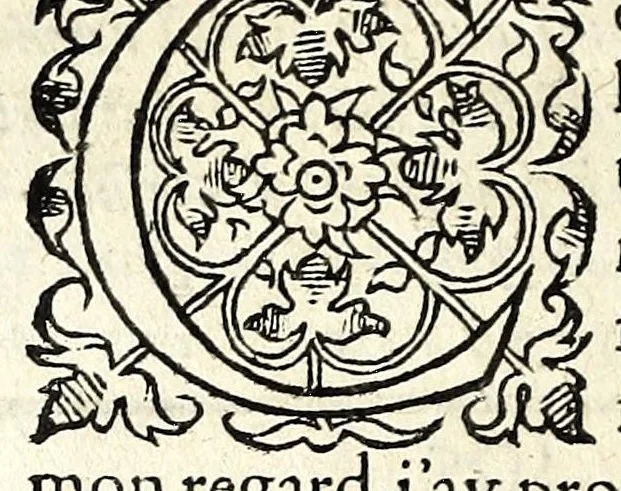An illustration from Histoires prodigieuses extraictes de plusieurs fameux autheurs, grecz & latins, sacrez & prophanes, 1561, leaf 228