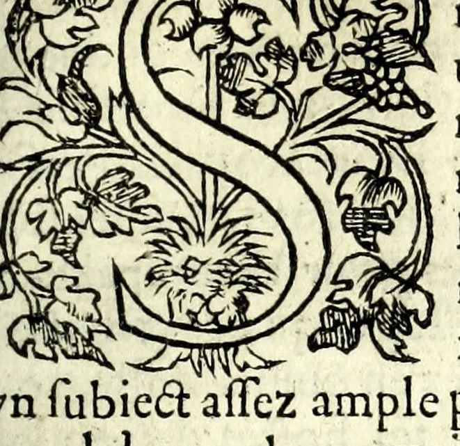 An illustration from Histoires prodigieuses extraictes de plusieurs fameux autheurs, grecz & latins, sacrez & prophanes, 1561, leaf 231