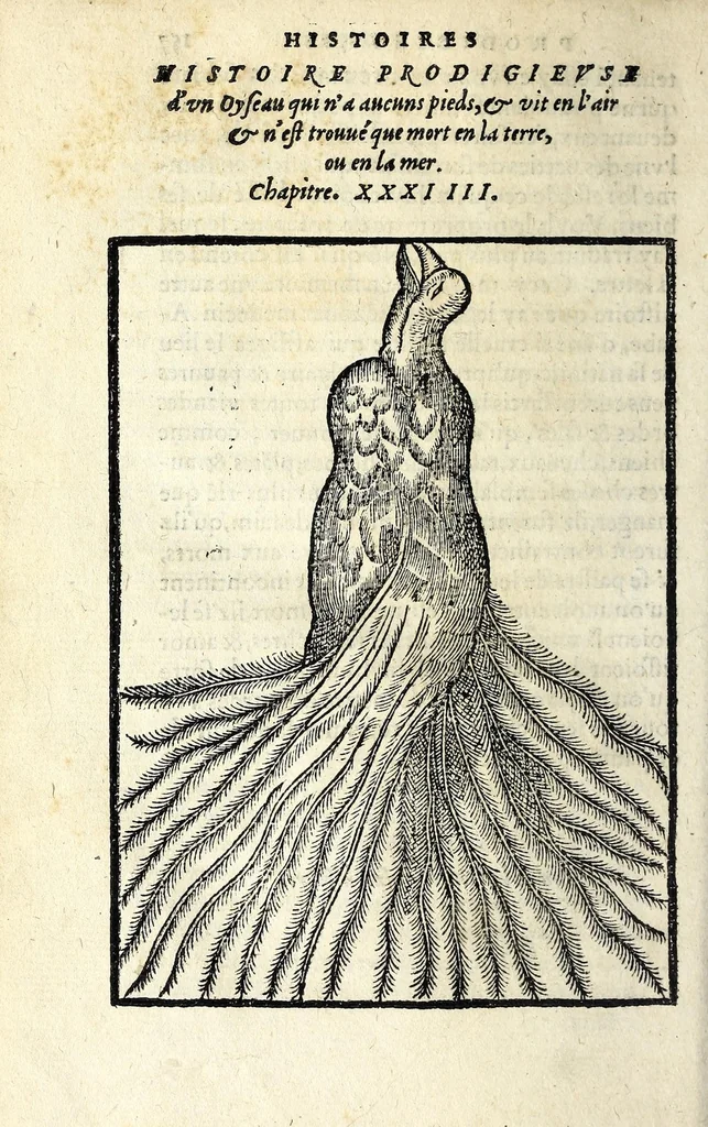 An illustration from Histoires prodigieuses extraictes de plusieurs fameux autheurs, grecz & latins, sacrez & prophanes, 1561, leaf 342
