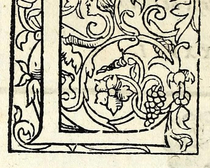 An illustration from Histoires prodigieuses extraictes de plusieurs fameux autheurs, grecz & latins, sacrez & prophanes, 1561, leaf 364