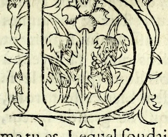 An illustration from Histoires prodigieuses extraictes de plusieurs fameux autheurs, grecz & latins, sacrez & prophanes, 1561, leaf 383