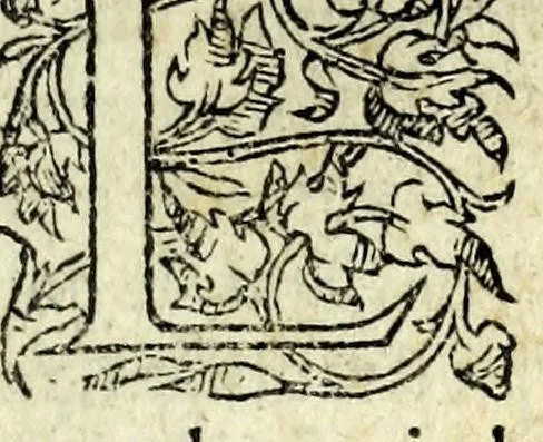 An illustration from Histoires prodigieuses extraictes de plusieurs fameux autheurs, grecz & latins, sacrez & prophanes, 1561, leaf 387