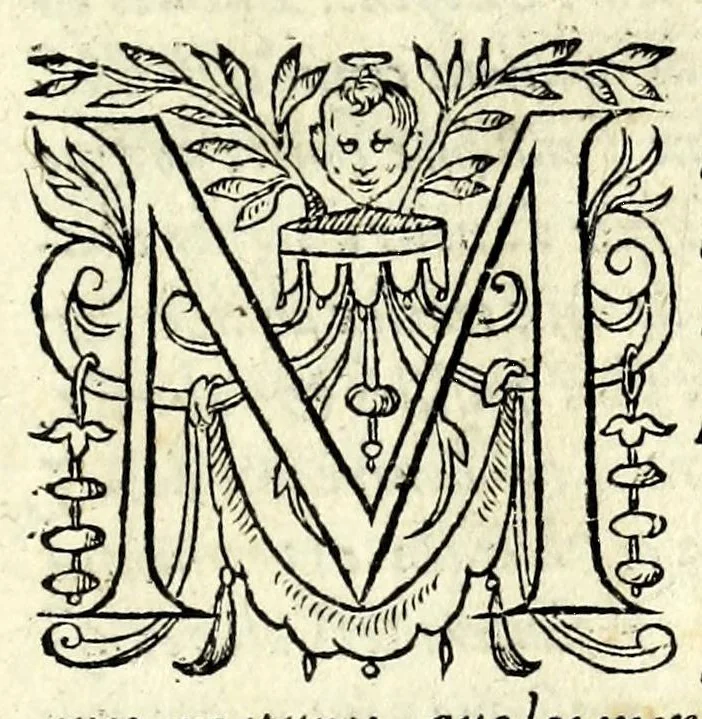 An illustration from Histoires prodigieuses extraictes de plusieurs fameux autheurs, grecz & latins, sacrez & prophanes, 1561, leaf 7