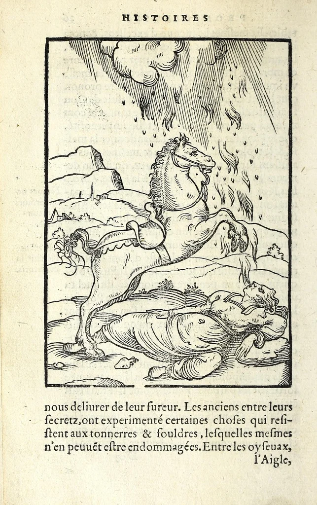 An illustration from Histoires prodigieuses extraictes de plusieurs fameux autheurs, grecz & latins, sacrez & prophanes, 1561, leaf 80