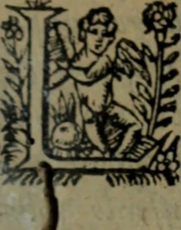 An illustration from Histoire tragique et arrest de la cour de Parlement de Tholose contre Pierre Arrias Burdeux ... François Gairaud ... Violante de Bats du Chasteau & autres, 1613, leaf 104