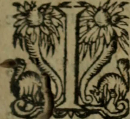 An illustration from Histoire tragique et arrest de la cour de Parlement de Tholose contre Pierre Arrias Burdeux ... François Gairaud ... Violante de Bats du Chasteau & autres, 1613, leaf 106