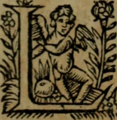 An illustration from Histoire tragique et arrest de la cour de Parlement de Tholose contre Pierre Arrias Burdeux ... François Gairaud ... Violante de Bats du Chasteau & autres, 1613, leaf 26