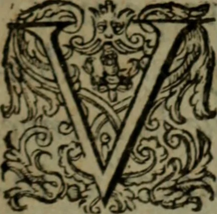 An illustration from Histoire tragique et arrest de la cour de Parlement de Tholose contre Pierre Arrias Burdeux ... François Gairaud ... Violante de Bats du Chasteau & autres, 1613, leaf 4