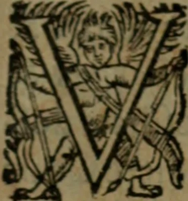 An illustration from Histoire tragique et arrest de la cour de Parlement de Tholose contre Pierre Arrias Burdeux ... François Gairaud ... Violante de Bats du Chasteau & autres, 1613, leaf 408