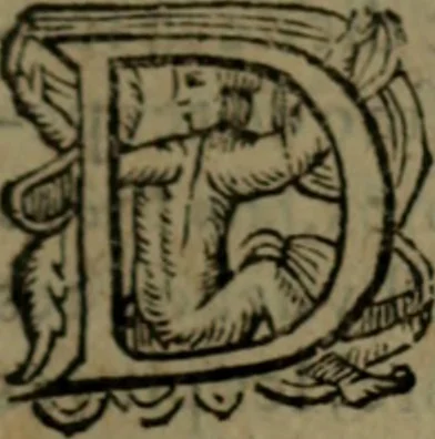 An illustration from Histoire tragique et arrest de la cour de Parlement de Tholose contre Pierre Arrias Burdeux ... François Gairaud ... Violante de Bats du Chasteau & autres, 1613, leaf 428