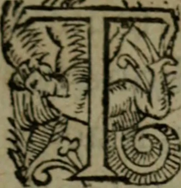 An illustration from Histoire tragique et arrest de la cour de Parlement de Tholose contre Pierre Arrias Burdeux ... François Gairaud ... Violante de Bats du Chasteau & autres, 1613, leaf 8