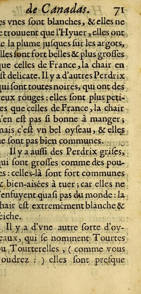 An illustration from Histoire veritable et naturelle des moeurs & productions du pays de la Nouuelle France, vulgairement dite le Canada., 1664, leaf 101